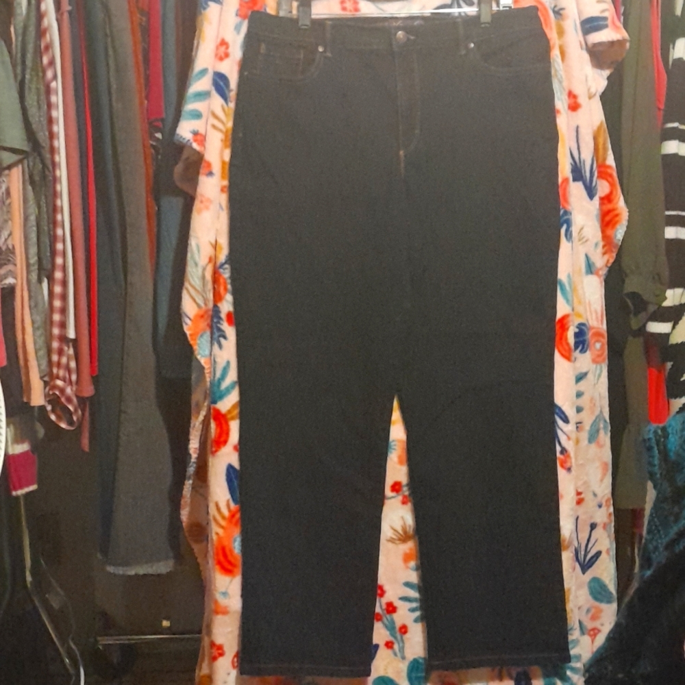 Gloria Vanerbilb Size 18 Jean Regular Fit Dark Blue